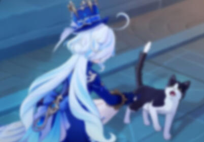 terms and conditions